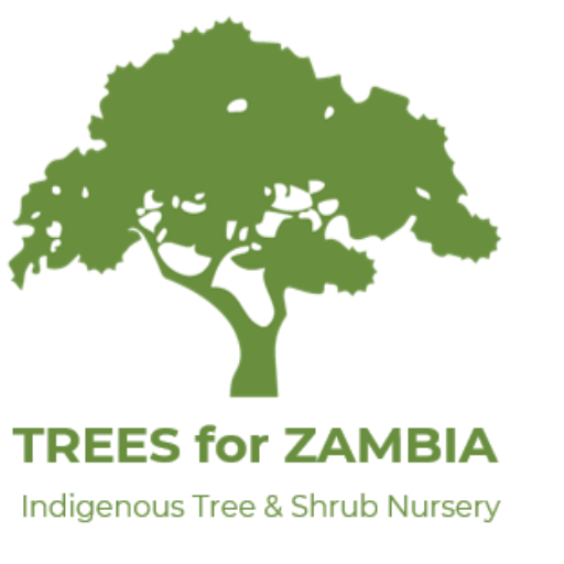 Trees for Zambia